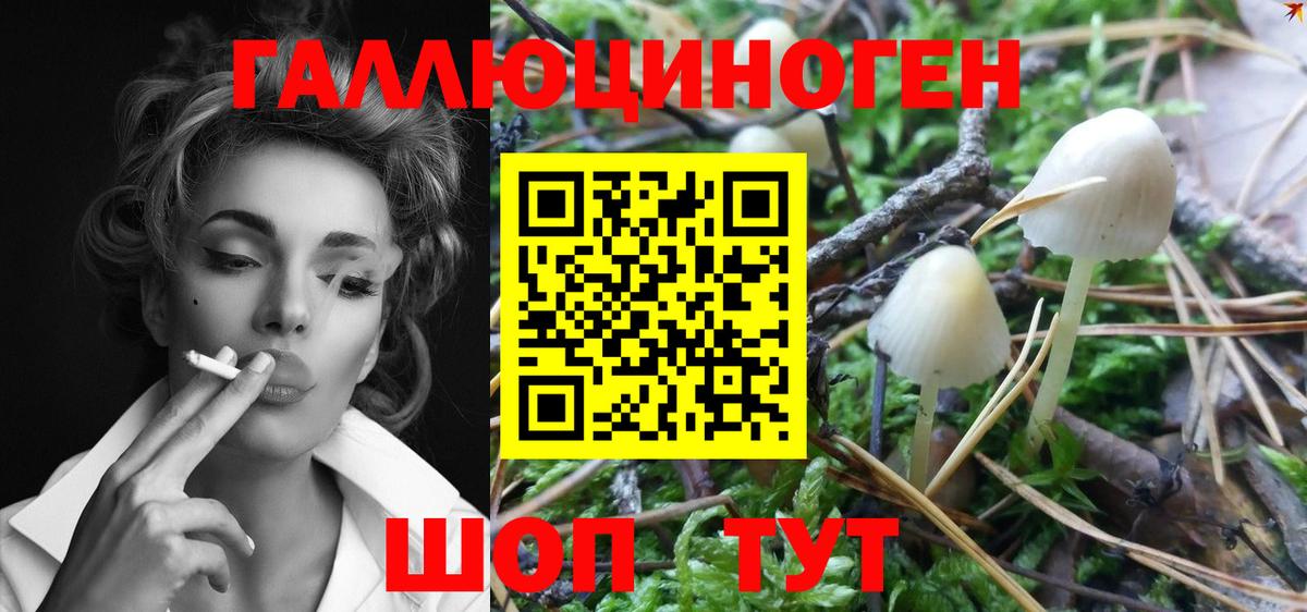 Галлюциногенные грибы Magic Shrooms  Вход с VPN  Екатеринбург 