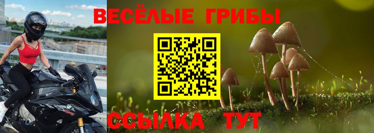 Галлюциногенные грибы GOLDEN TEACHER Екатеринбург